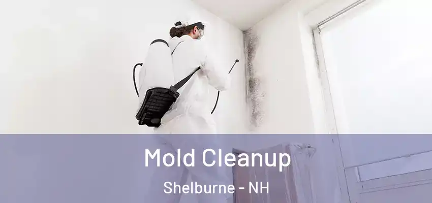 Mold Cleanup Shelburne - NH
