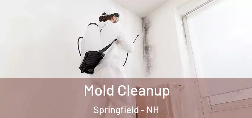  Mold Cleanup Springfield - NH