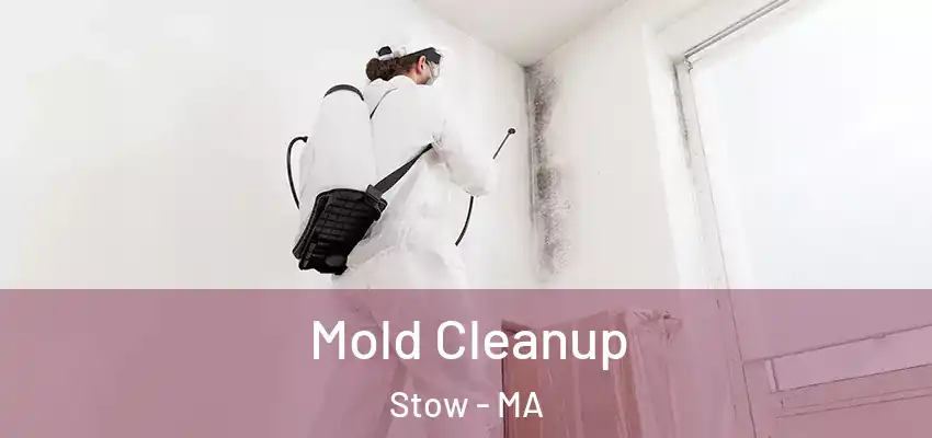 Mold Cleanup Stow - MA