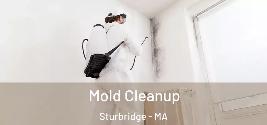 Mold Cleanup Sturbridge - MA