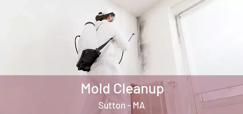 Mold Cleanup Sutton - MA