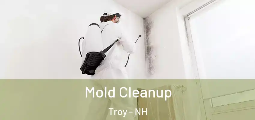 Mold Cleanup Troy - NH