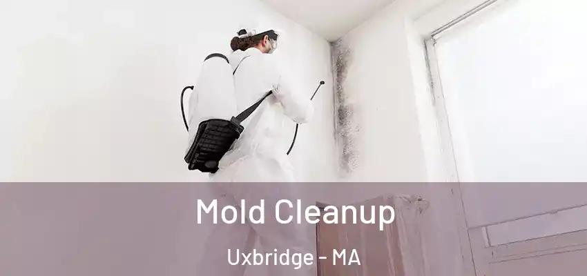 Mold Cleanup Uxbridge - MA
