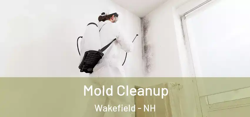 Mold Cleanup Wakefield - NH
