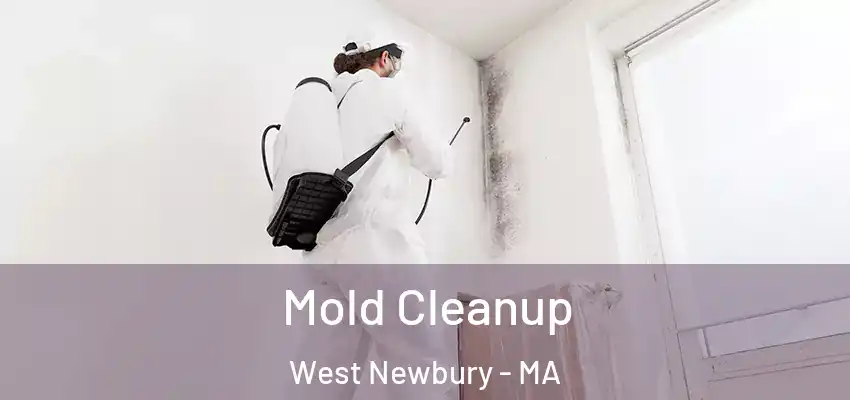 Mold Cleanup West Newbury - MA
