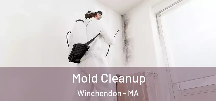 Mold Cleanup Winchendon - MA