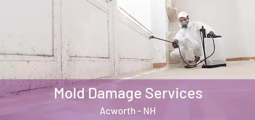  Mold Damage Services Acworth - NH