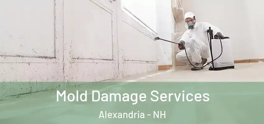 Mold Damage Services Alexandria - NH