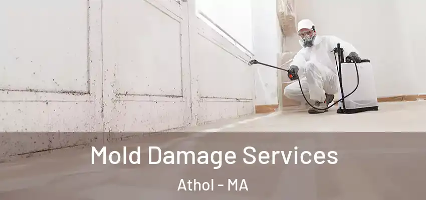 Mold Damage Services Athol - MA