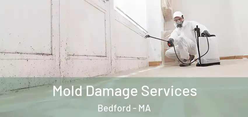 Mold Damage Services Bedford - MA