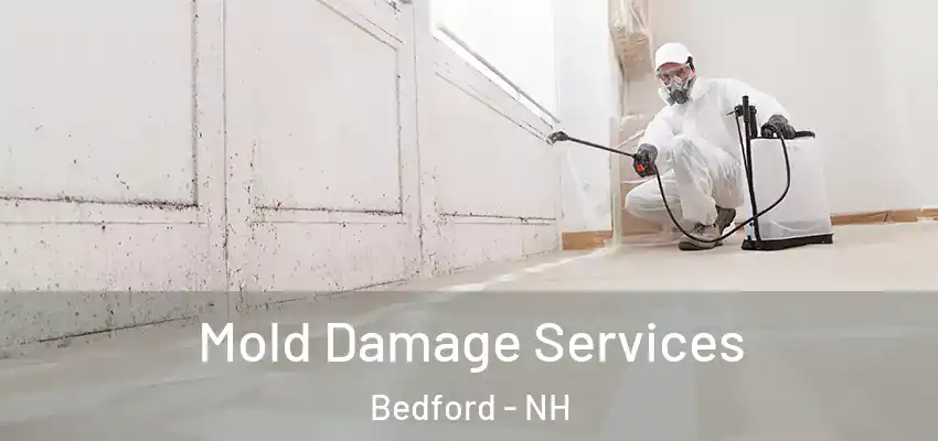 Mold Damage Services Bedford - NH