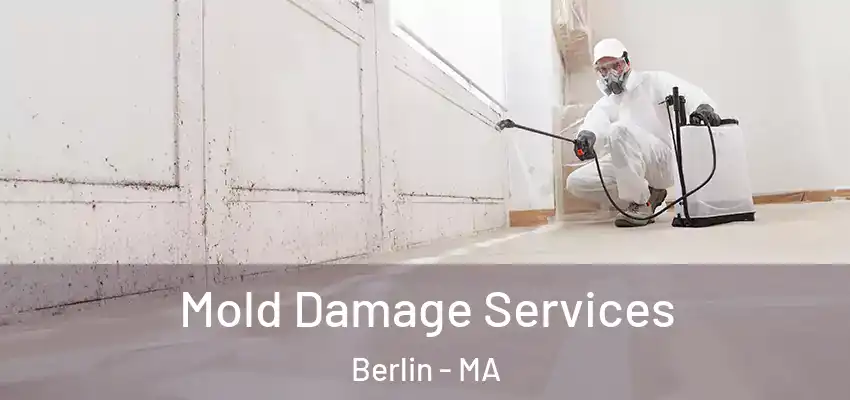 Mold Damage Services Berlin - MA