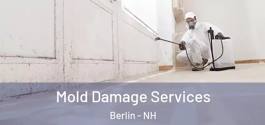 Mold Damage Services Berlin - NH