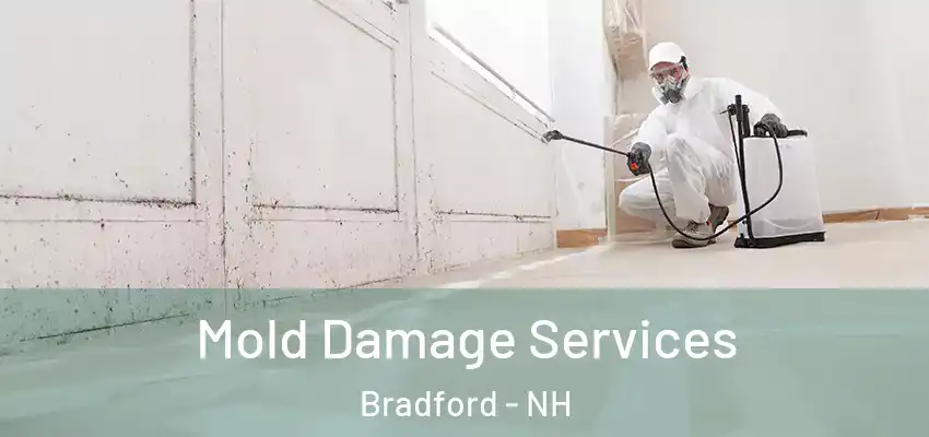 Mold Damage Services Bradford - NH
