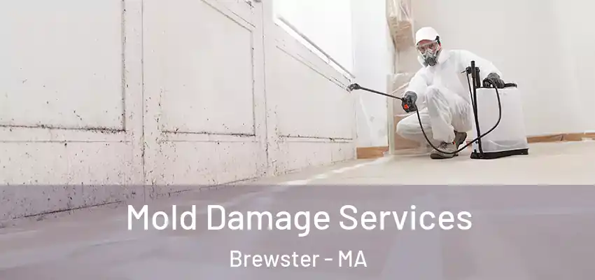 Mold Damage Services Brewster - MA
