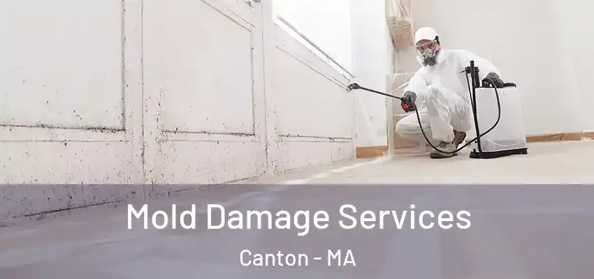  Mold Damage Services Canton - MA