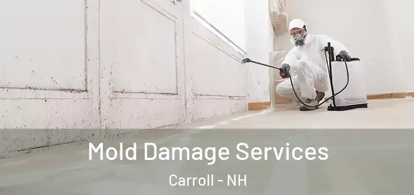 Mold Damage Services Carroll - NH