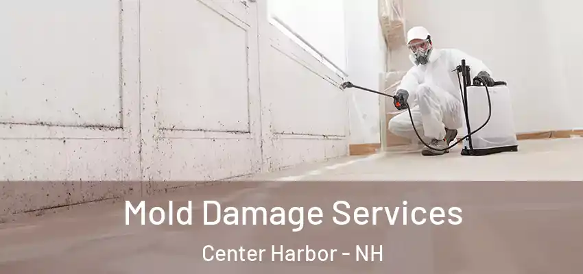  Mold Damage Services Center Harbor - NH