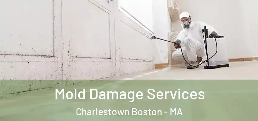  Mold Damage Services Charlestown Boston - MA