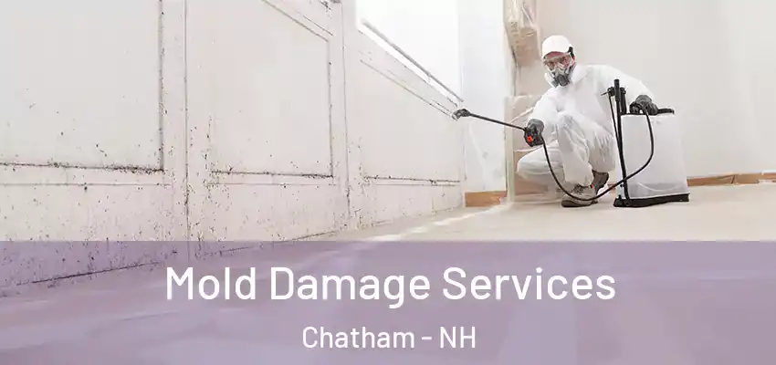  Mold Damage Services Chatham - NH