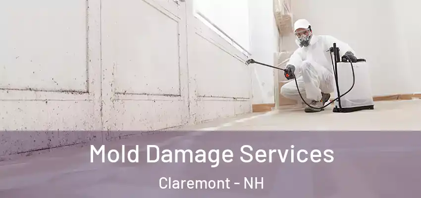 Mold Damage Services Claremont - NH