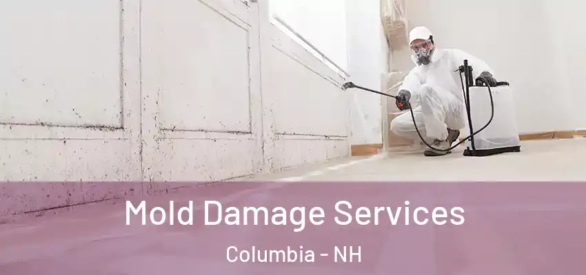  Mold Damage Services Columbia - NH