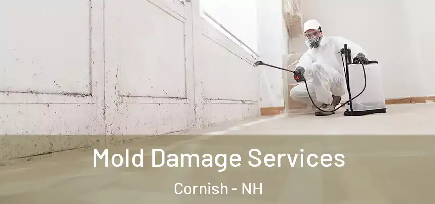  Mold Damage Services Cornish - NH