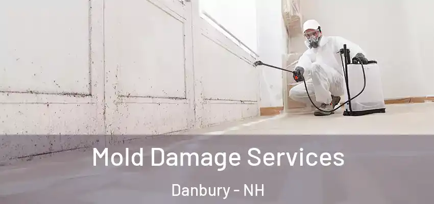 Mold Damage Services Danbury - NH