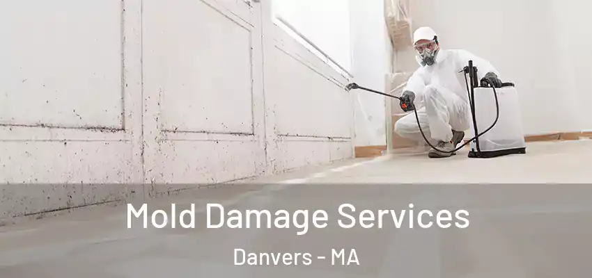 Mold Damage Services Danvers - MA