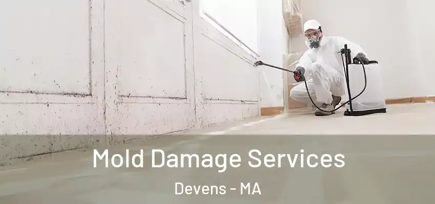  Mold Damage Services Devens - MA