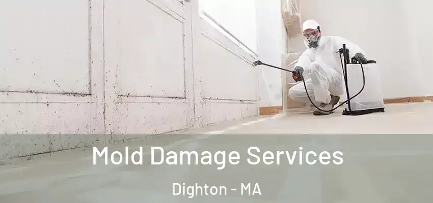 Mold Damage Services Dighton - MA