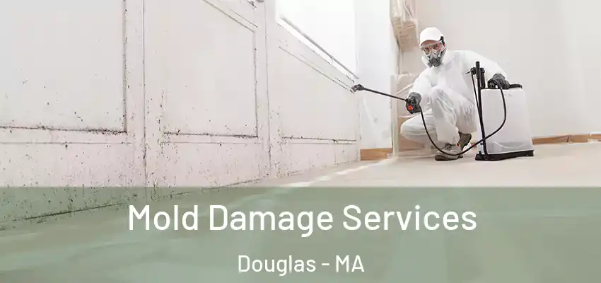  Mold Damage Services Douglas - MA