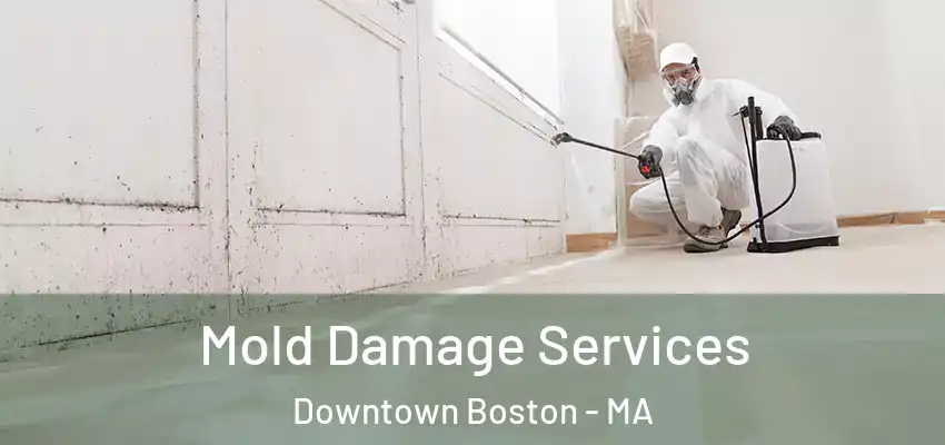 Mold Damage Services Downtown Boston - MA