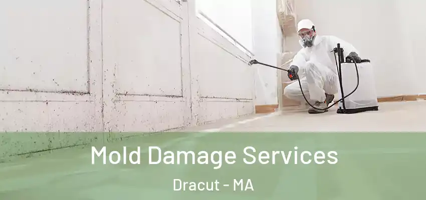 Mold Damage Services Dracut - MA