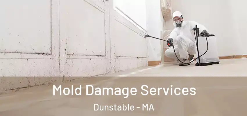  Mold Damage Services Dunstable - MA