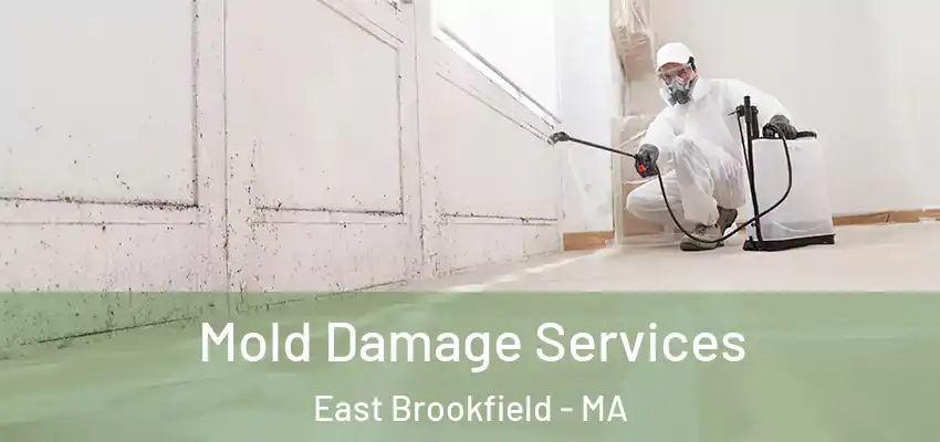 Mold Damage Services East Brookfield - MA