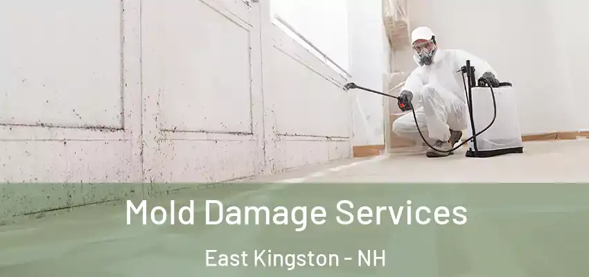 Mold Damage Services East Kingston - NH