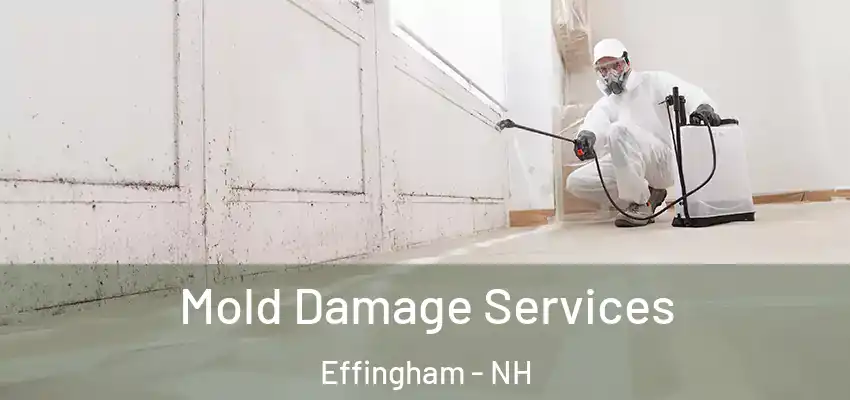 Mold Damage Services Effingham - NH
