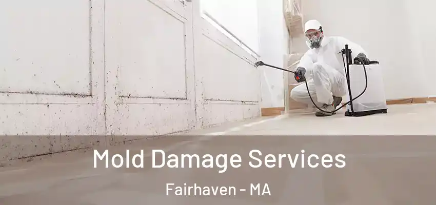 Mold Damage Services Fairhaven - MA
