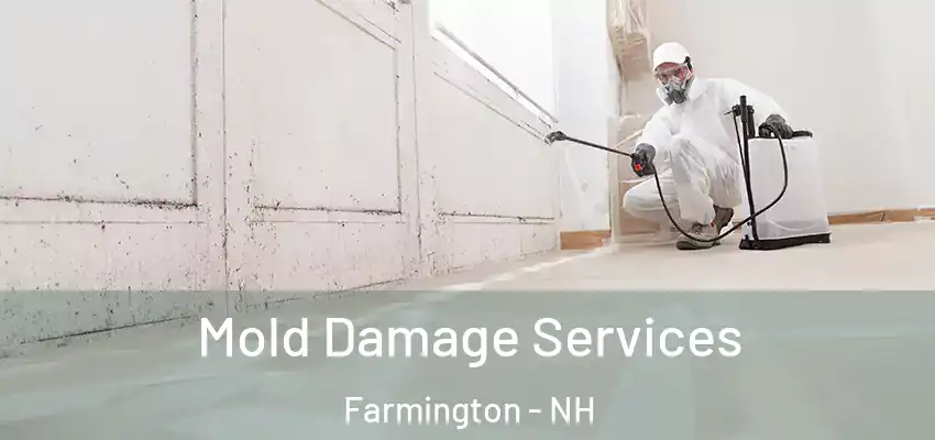 Mold Damage Services Farmington - NH