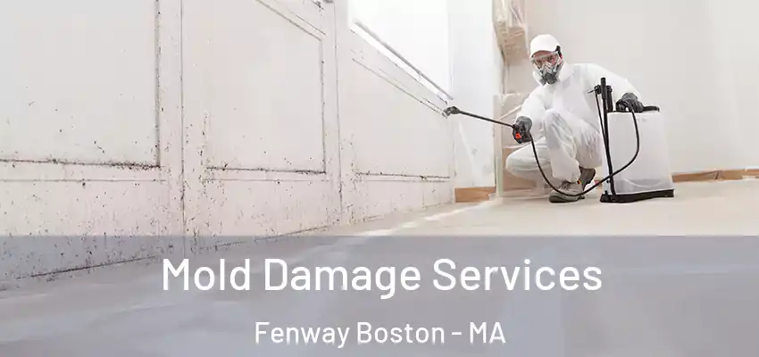 Mold Damage Services Fenway Boston - MA