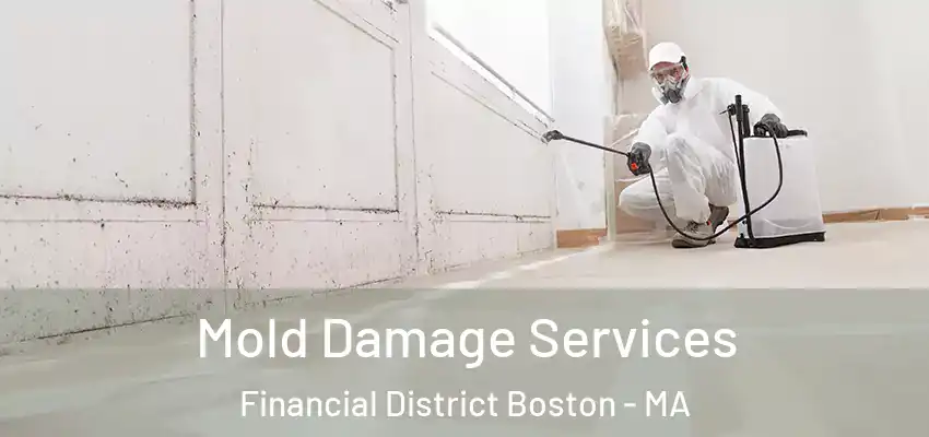 Mold Damage Services Financial District Boston - MA
