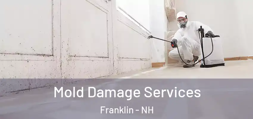 Mold Damage Services Franklin - NH
