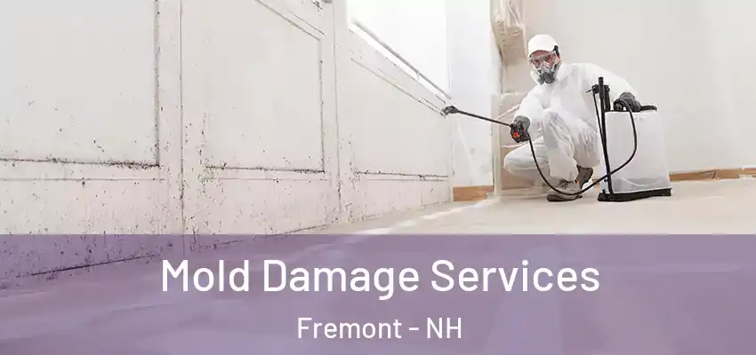  Mold Damage Services Fremont - NH
