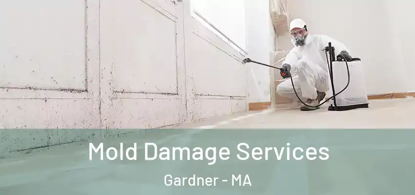  Mold Damage Services Gardner - MA