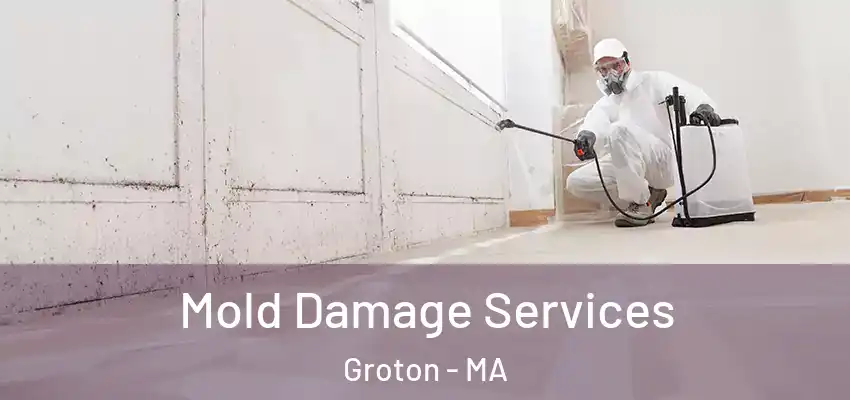 Mold Damage Services Groton - MA