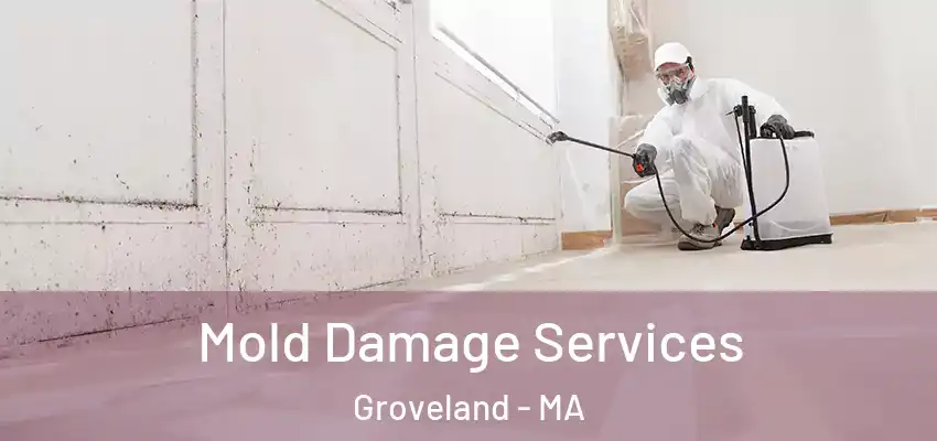 Mold Damage Services Groveland - MA