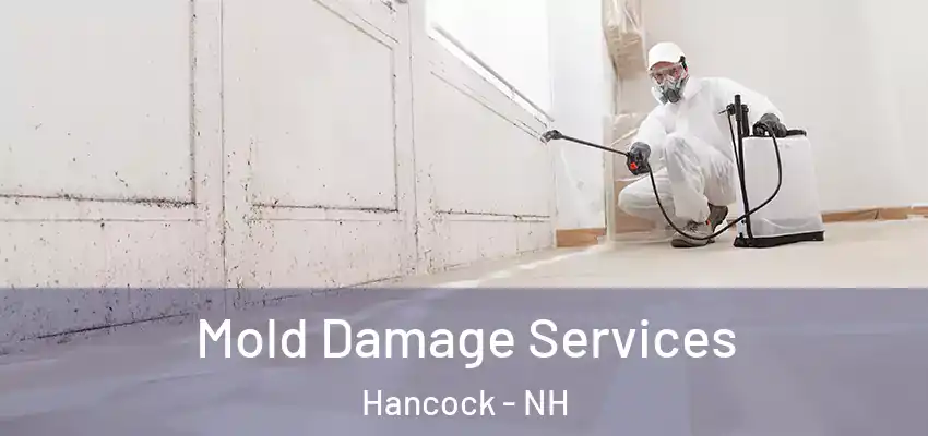 Mold Damage Services Hancock - NH