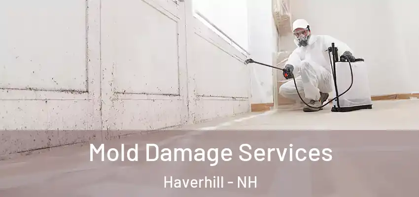 Mold Damage Services Haverhill - NH