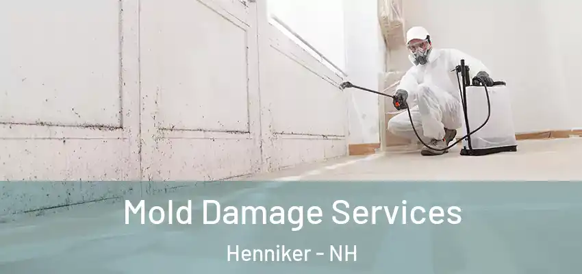 Mold Damage Services Henniker - NH